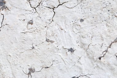 Açık Gri Stucco Duvar dokusu. Soyut Arkaplan