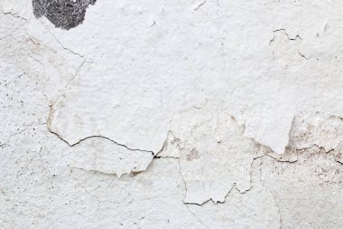 Açık Gri Stucco Duvar dokusu. Soyut Arkaplan