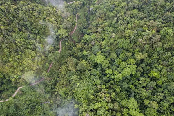 Dağ Katmanıyla Sabah Buğusu manzarası. Kırsal orman ormanlarında dağ sırtı ve bulutlar