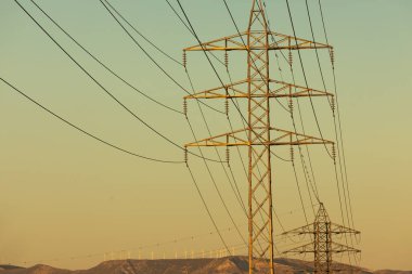 Tüketicilere ve sanayilere elektrik ileten yüksek voltajlı elektrik kulelerinin altyapısı, büyük bir çevresel etki yaratıyor.