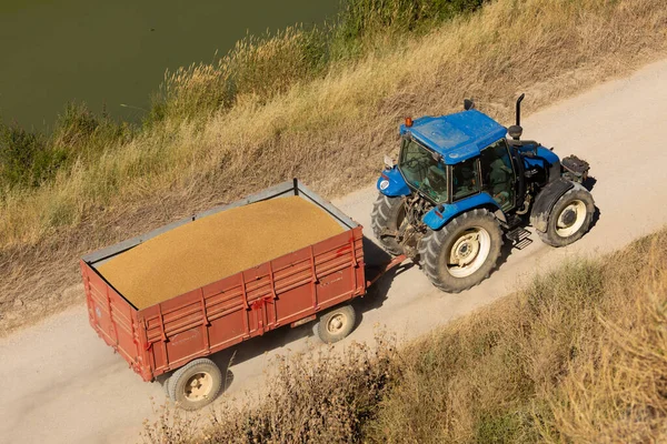 Галлур Испания Июля 2020 Фермерский Трактор Перевозка Зерна Кукурузы Пшеницы — стоковое фото