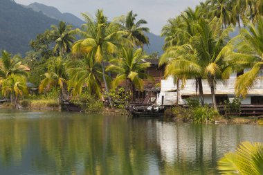 Koh Chang, Tayland - 14 Ocak 2020: Grand Lagoona, Koh Chang Adası, Tayland Körfezi, Trat Eyaleti, Güneydoğu Asya 'da terk edilmiş turist bungalovlarıyla bataklık ve palmiye ağacı manzarası.