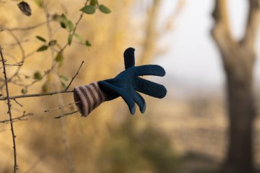 Unutulmuş bir eldiven, bir daldan sarkan, Borja, Zaragoza, İspanya yakınlarındaki toprak bir yolun yanından geçen herkese veda ediyor gibi görünüyor..