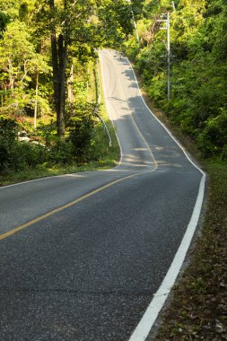 Tayland Körfezi 'ndeki Koh Chang adasında yalnız bir yol.