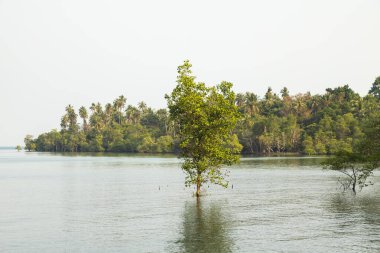 Artan deniz seviyeleri nedeniyle deniz manzarası giderek daha çok sular altında kalıyor, Koh Chang Adası, Tayland