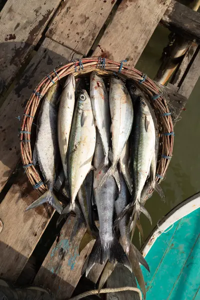 stock image Various fish in a wicker basket, freshly caught near Weh Island, Sumatra, Indonesia