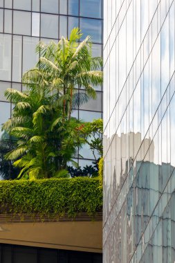 Çelik ve cam ofis binaları arasında sıkışmış yemyeşil bitkiler