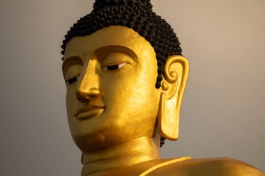 Mudra Dhyana, Pakse yakınlarındaki Wat Phousalao Tapınağı 'nda, Champasak, Laos' ta meditasyon pozisyonunda duran altın bir Buda heykeli.
