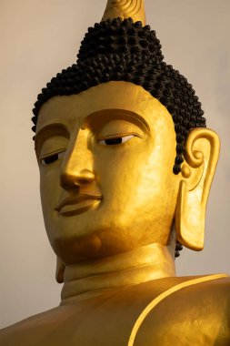 Mudra Dhyana, Pakse yakınlarındaki Wat Phousalao Tapınağı 'nda, Champasak, Laos' ta meditasyon pozisyonunda duran altın bir Buda heykeli.