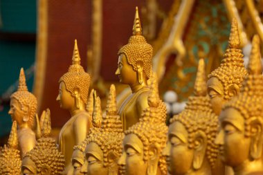 Altın Buda heykelleri, farklı meditasyon pozisyonlarında, Wat Phousalao tapınağında, Pakse, Cjampasak, Laos yakınlarında.