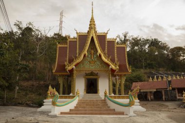 Altın dekoratif motifli tapınak, Wat Phousalao 'da, Pakse, Champasak, Laos yakınlarında.
