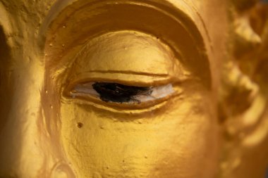 Wat Phousalao Tapınağı, Pakse, Champasak, Laos yakınlarındaki Buda heykellerinden birinin yakın görüntüsü.