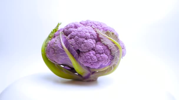 Gorgeous Purple Cauliflower White Background Purple Cauliflower Rotates Its Axis — Stock Video