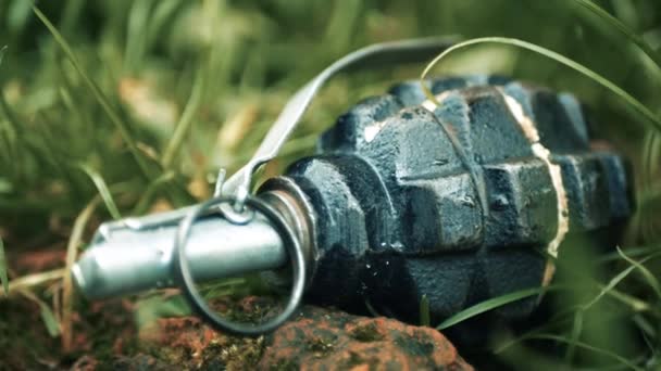 Une Grenade Main Trouve Dans Herbe Une Grenade Personnel Insidieuse — Video
