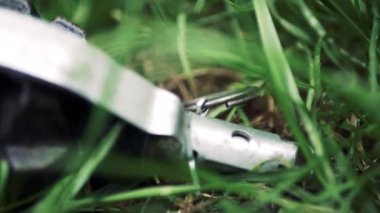 Çimenlerin üzerinde bir el bombası var. Sinsi bir anti-personel el bombası çimlerin arasına gizlenmiş. Yüksek kalite 4k görüntü