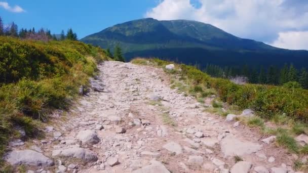 Ταξιδιώτης Περπατά Κατά Μήκος Ενός Ορεινού Δρόμου Και Απολαμβάνει Μια — Αρχείο Βίντεο