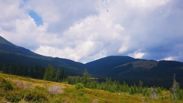 Путешественник Ходит Горной Дороге Наслаждается Прекрасным Видом Величественные Горы Высококачественные — стоковое видео