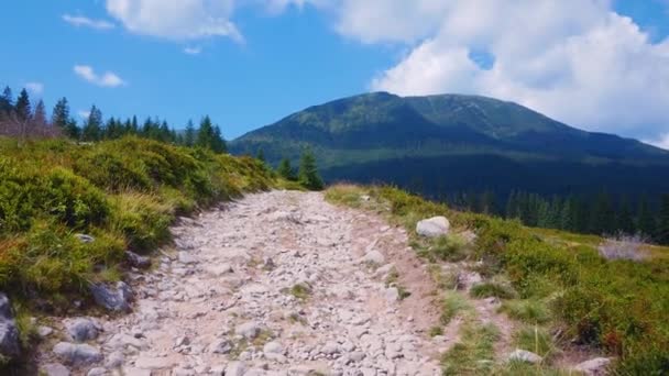 Cestovatel Kráčí Horské Cestě Krásný Výhled Majestátní Hory Vysoce Kvalitní — Stock video