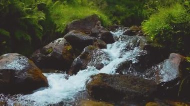 Bir dağ şelalesinden güçlü bir su akıntısı. Güçlü temiz su akıntıları olan dağ şelalesi. Yüksek kalite 4k görüntü