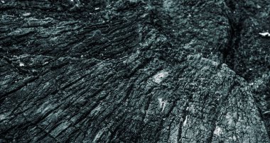 Harika ahşap dokusunu kapat. Yüksek kalite fotoğraf