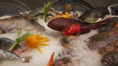 Taze yakalanmış balıklar bir balık dükkanında buzun üzerinde yatıyor. Yüksek kalite 4k görüntü