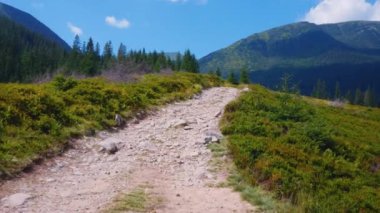 Gezgin bir dağ yolunda yürüyor ve görkemli dağların güzel manzarasının tadını çıkarıyor. Yüksek kalite 4k görüntü