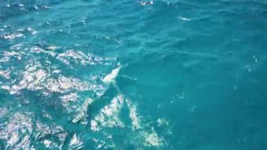 Deniz manzarası ve kayalık sahil manzarası çok güzel. Kayalardan ve dalgalardan oluşan muhteşem bir deniz. Yüksek kalite 4k görüntü
