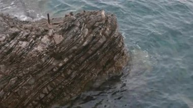 Önünde bir su kütlesi olan kayalık bir uçurum. Su sakin ve kayalar pürüzlü.