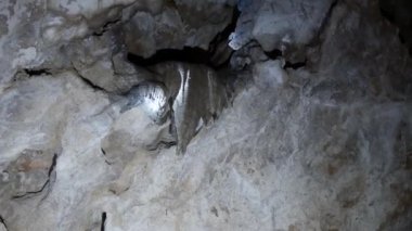 Karanlık bir mağarada muhteşem bir kaya oluşumu. Mağaranın tavanında kocaman sarkıtlar asılı..