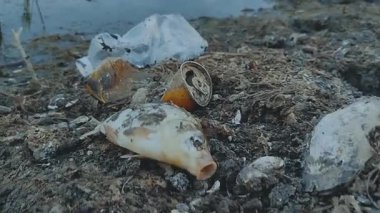 Çöpler arasında kıyıya vurmuş balıklar var. Ekolojik felaket. Yüksek kaliteli FullHD görüntüler