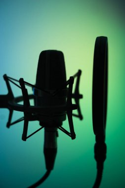 Profesyonel ses kayıt stüdyolarındaki büyük diyafram kardiyaframlı mikrofon..