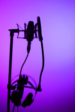 Profesyonel ses kayıt stüdyolarındaki büyük diyafram kardiyaframlı mikrofon..