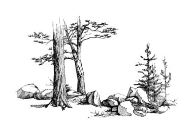 Sakin orman ağacı ve taş çizimi