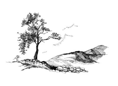 Ağaçlı bir manzara çizimi