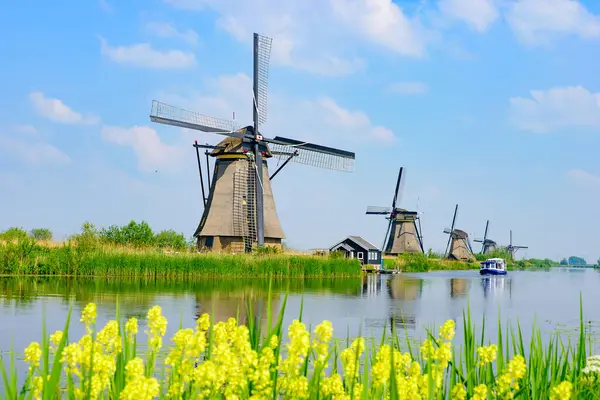 Molens Kinderdijk Een Unesco Werelderfgoed Rotterdam Nederland Rechtenvrije Stockfoto's
