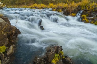 Şelaleler ve yeşil çimenler