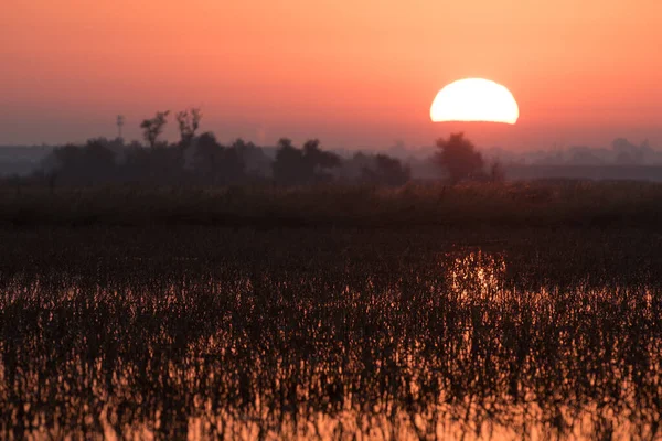 Sonnenaufgang Über Überfluteten Feldern — Stockfoto