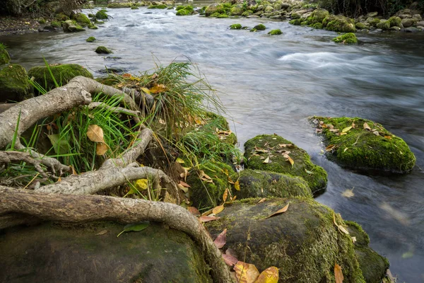 Flowing Putah Creek Napa County — Stockfoto