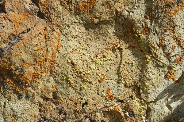 Roca Roja Verde Musgo Superficie — Foto de Stock