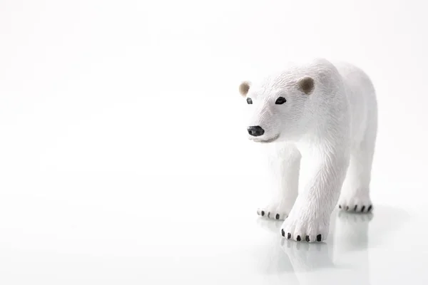 一只带着倒影的北极熊 — 图库照片