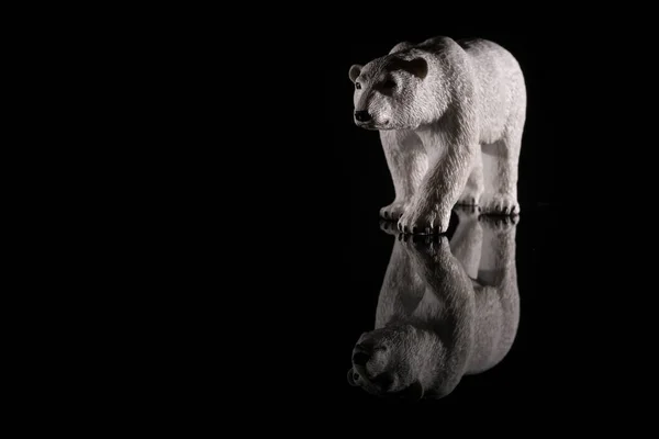 Isbjörn Går Reflektion — Stockfoto