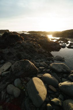 Gün batımında ortaya çıkan gelgit havuzları