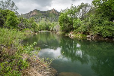 Putah Creek Solano Bölgesi, Kaliforniya
