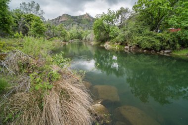 Putah Creek Solano Bölgesi, Kaliforniya