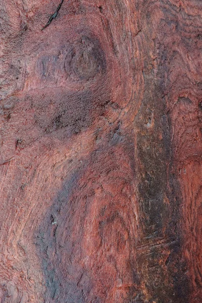 Redwood Grão Closeup Fundo Natural — Fotografia de Stock