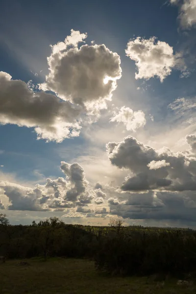 Большие Шерстяные Облака Движутся Над Зеленой Рощей Голубом Небе Солнечными — стоковое фото