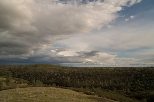 Krajobraz Niekończących Się Wzgórz Pokrytych Bujną Zieloną Trawą Lasami Tle — Zdjęcie stockowe