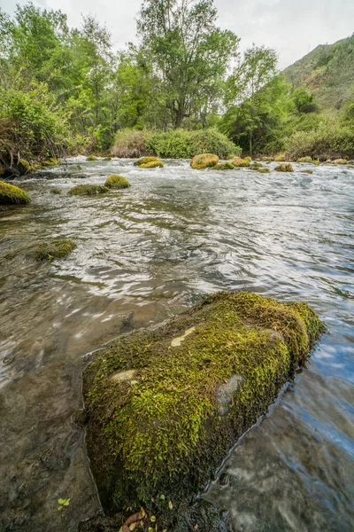 Putah Creek Solano County Kalifornien — Stockfoto