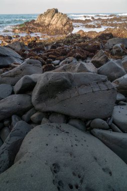 Büyük kayalar alçak gelgitle ortaya çıkar..