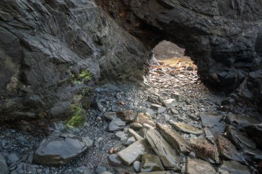 Dalgalar bir deniz mağarasını ortaya çıkarır.